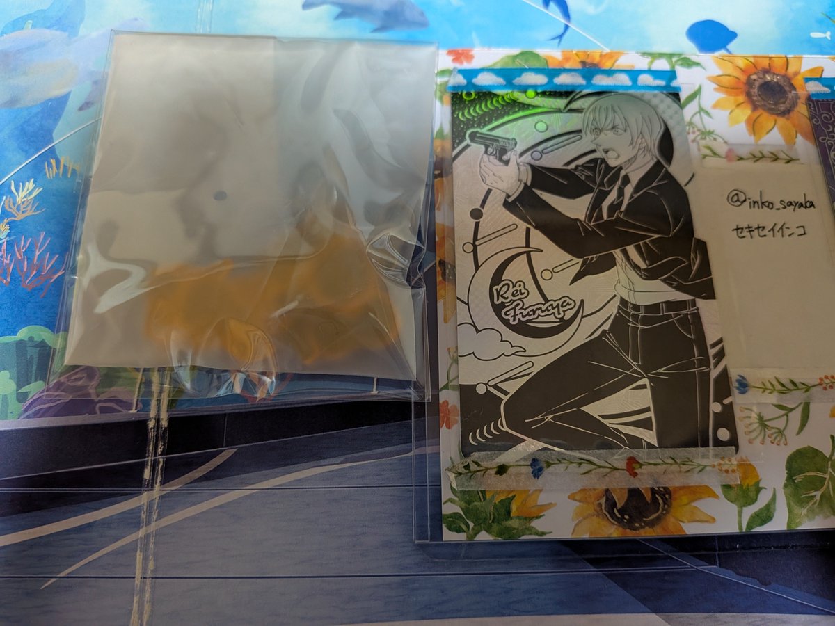 セキセイインコ tweet media