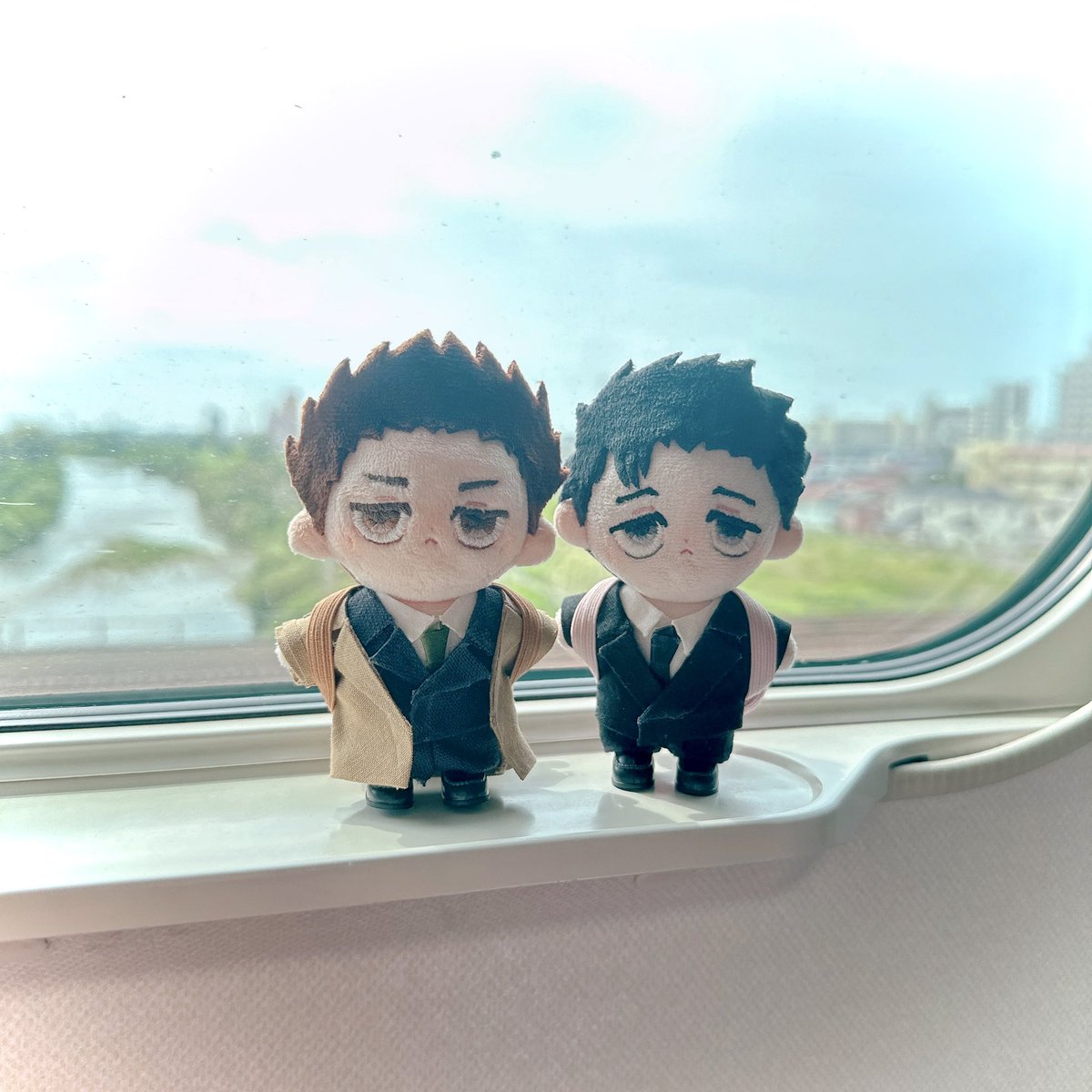 我が家のいのち🌻
早くぬいが出るといいな！