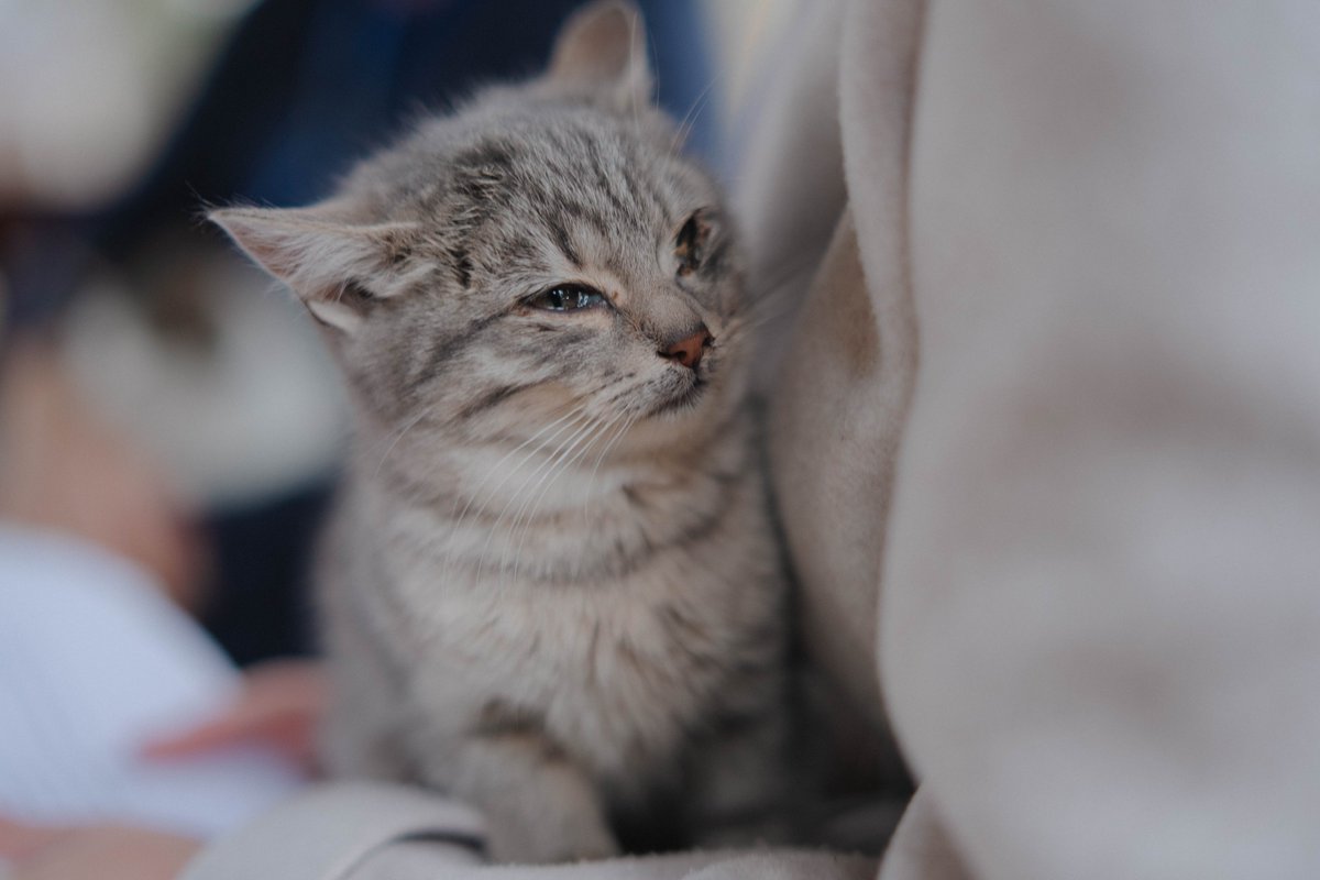 EU Humanitarian Aid | European Neighbourhood 🇪🇺 tweet media