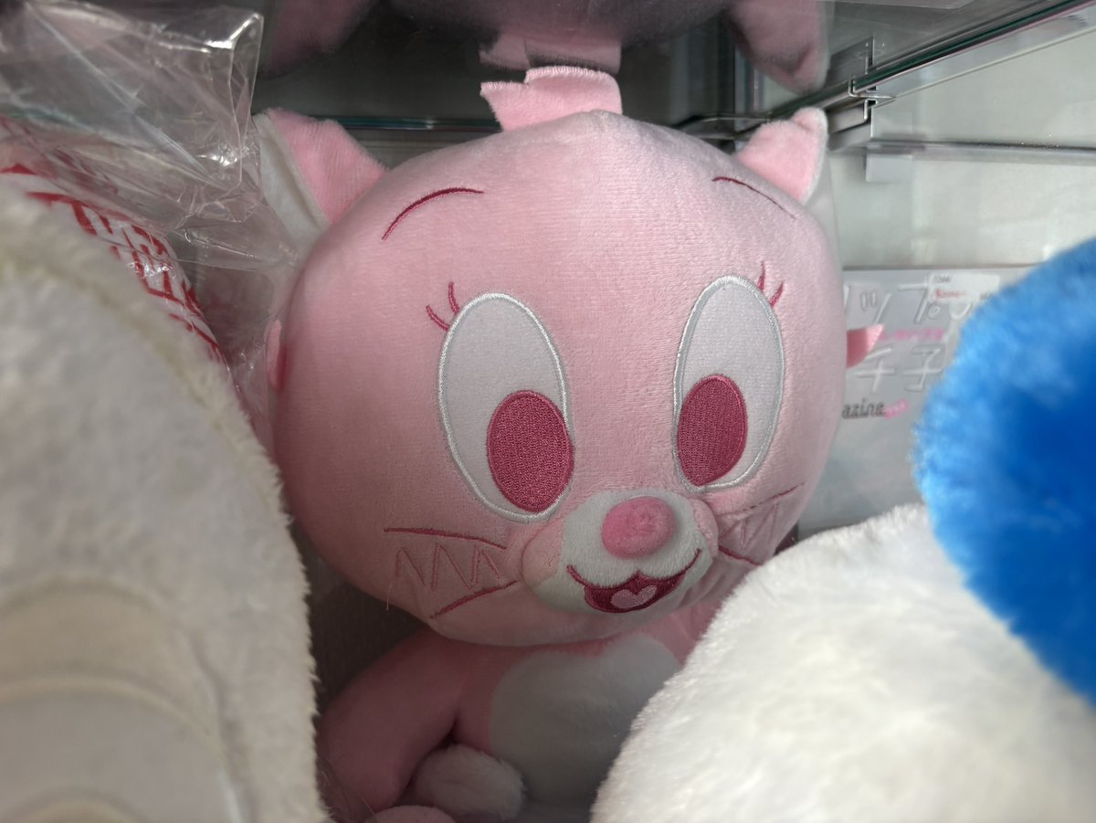 ☆B45&F262(300円均一)ケース入荷商品 お写真です☆その②