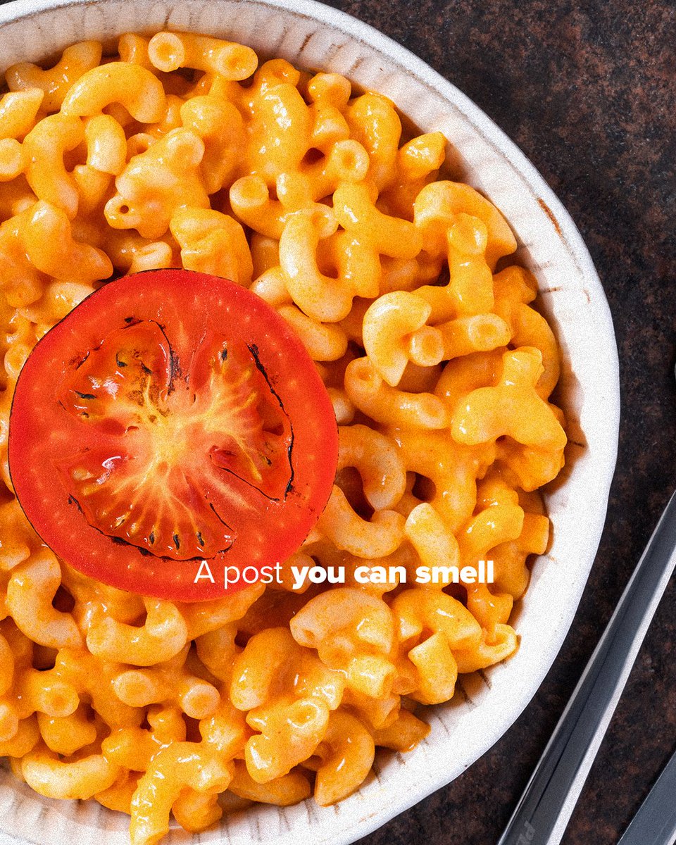 Pegasus Airlines tweet media