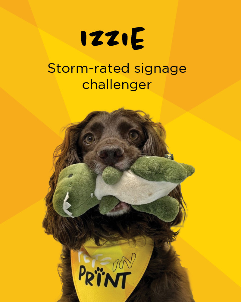 Innotech Digital tweet media