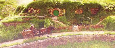 🐻 ☘️ PAWPAW RAY & BABIES ☘️ 🐻 tweet media