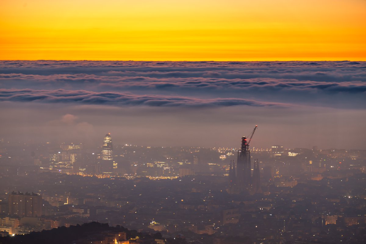 Alfons Puertas tweet media