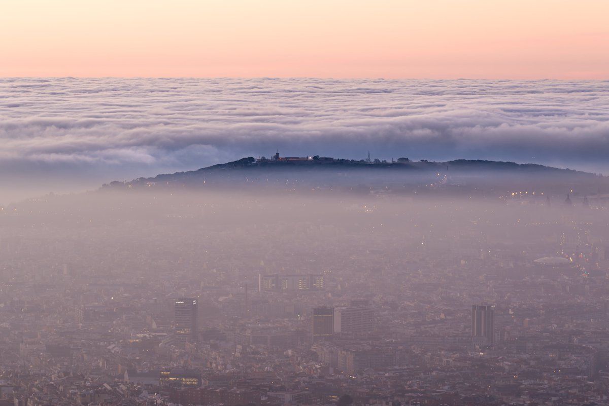 Alfons Puertas tweet media