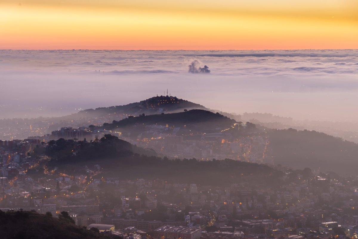 Alfons Puertas tweet media