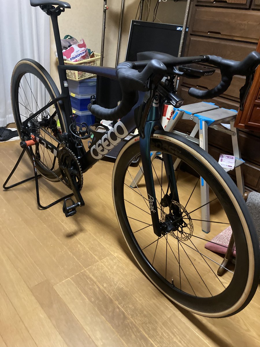 カピバラ (@CapybaraLIZED) / Posts / X