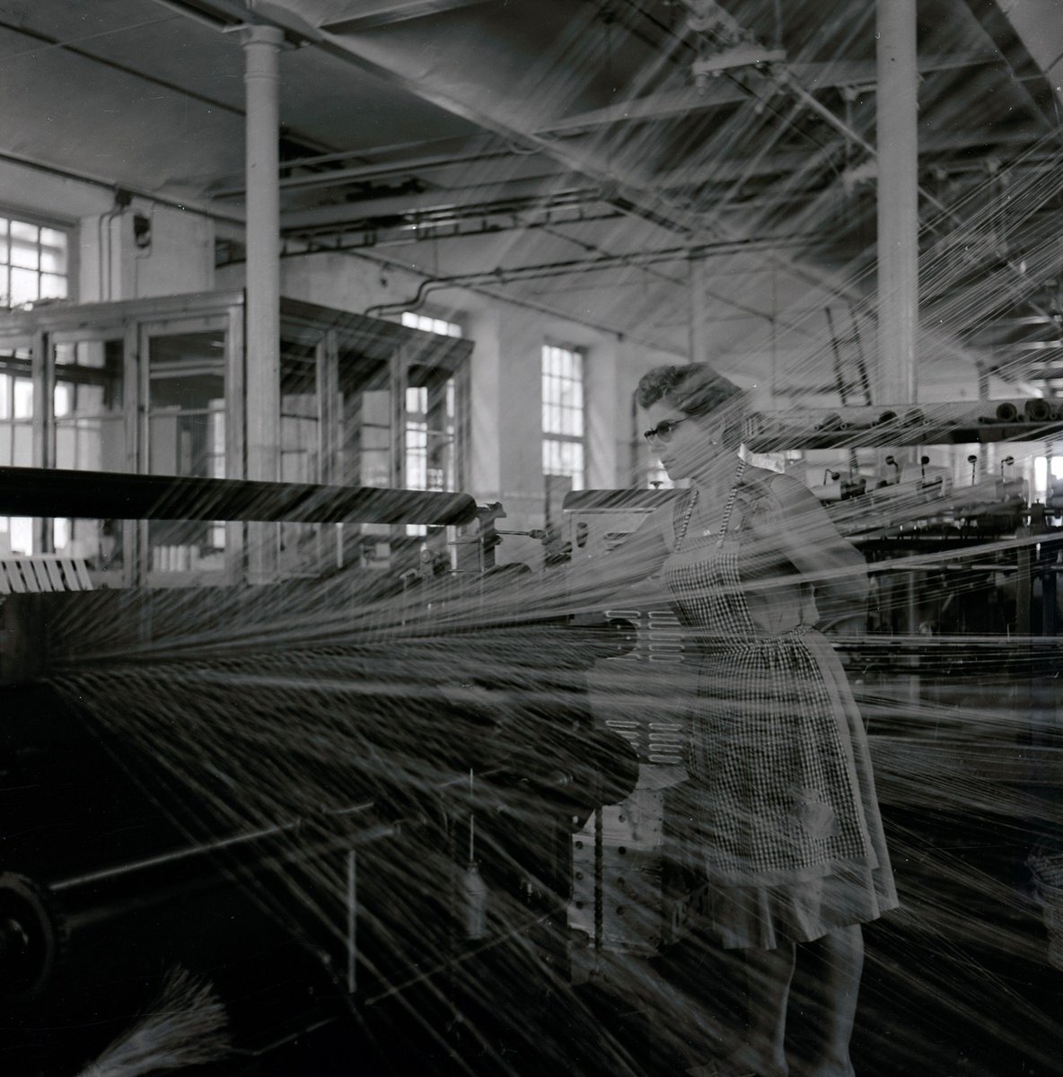 Museu Ciència Cat tweet media