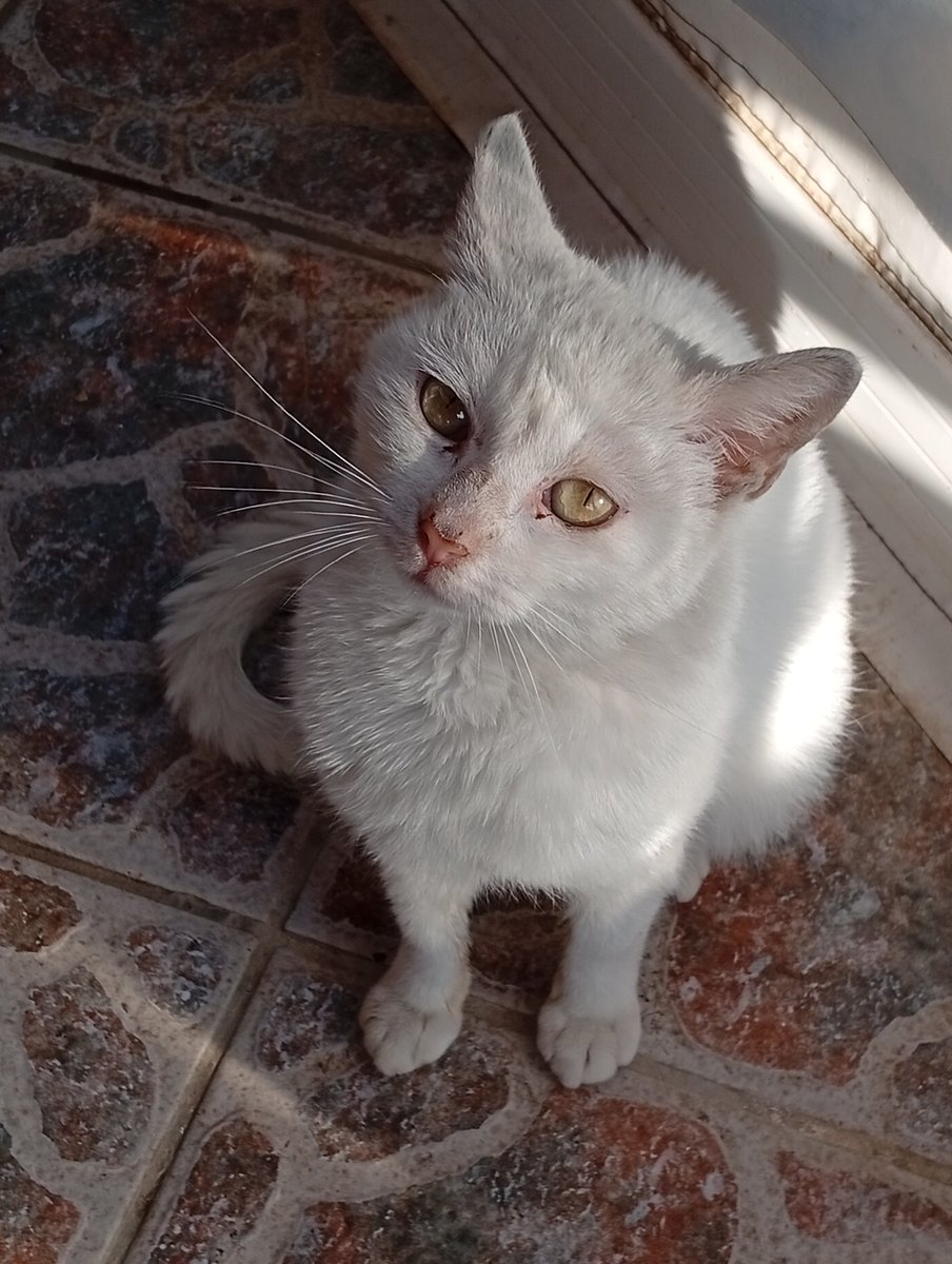 mpouses's tweet photo. @qelouki Καλημέρα https://t.co/R2sxzWBNE2