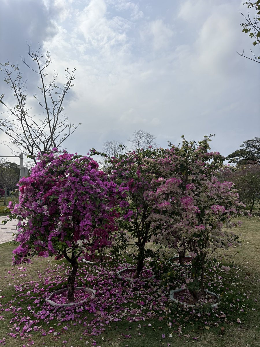 路航Luhang tweet media