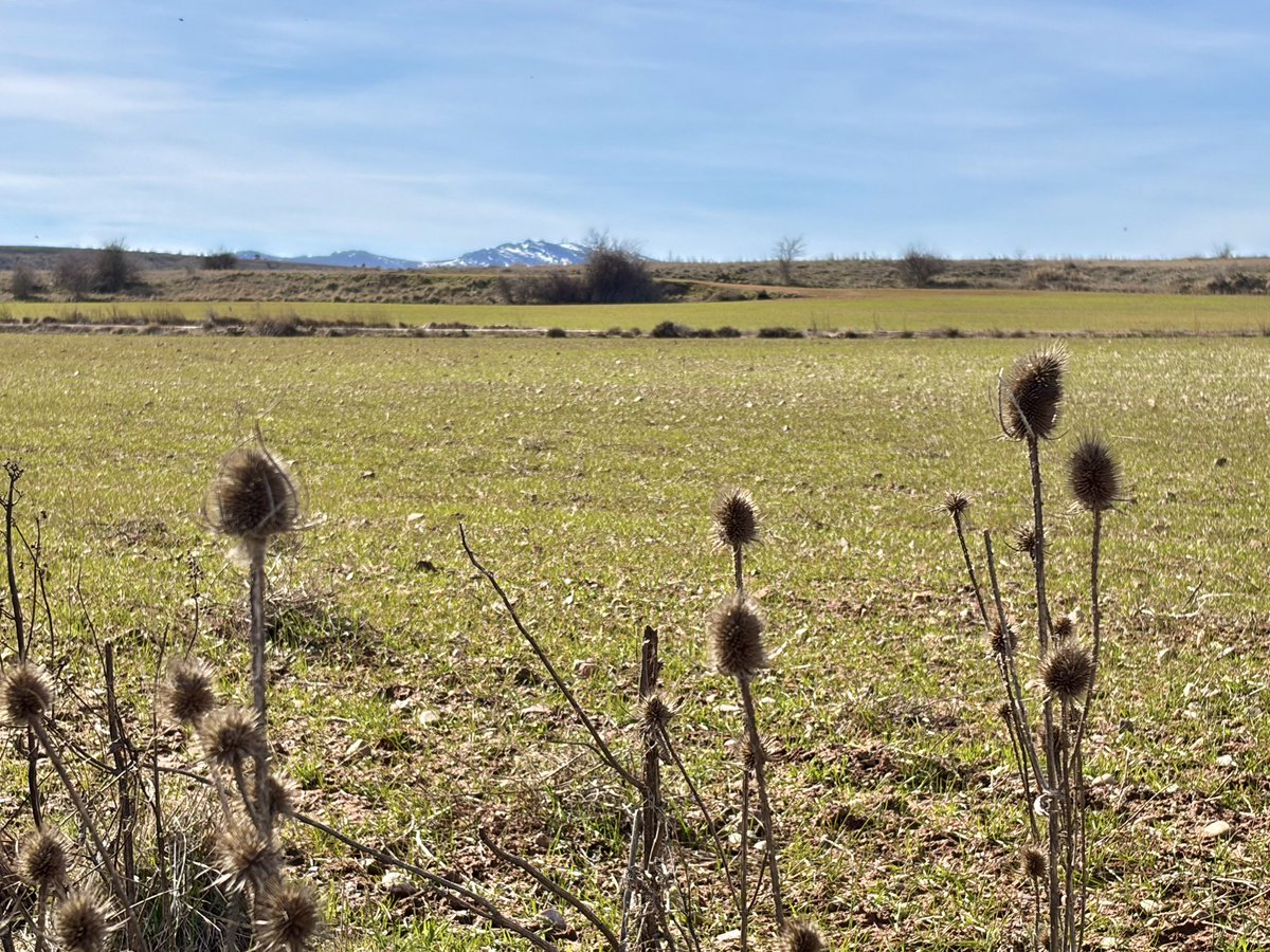 nachoramosc's tweet image. Encuentro la paz que necesito en estos paisajes. #Castilla