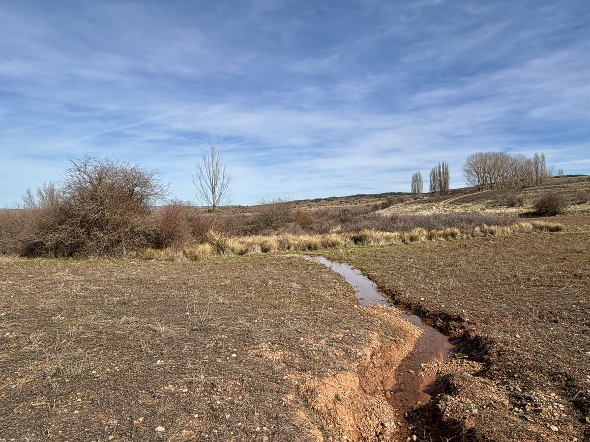 nachoramosc's tweet image. Encuentro la paz que necesito en estos paisajes. #Castilla