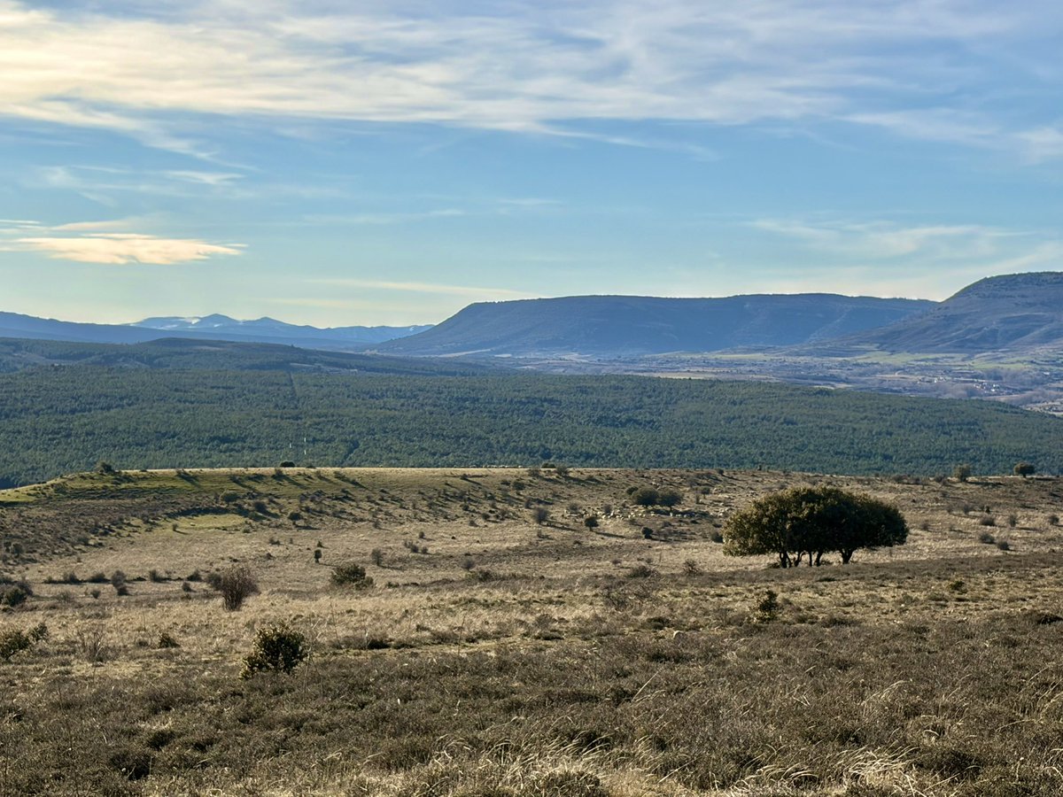 nachoramosc's tweet image. Encuentro la paz que necesito en estos paisajes. #Castilla