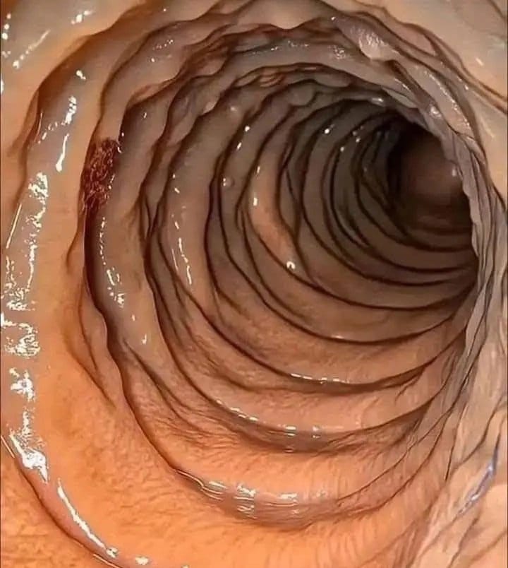 Hii ni Safaricom ama Airtel🤔?😂