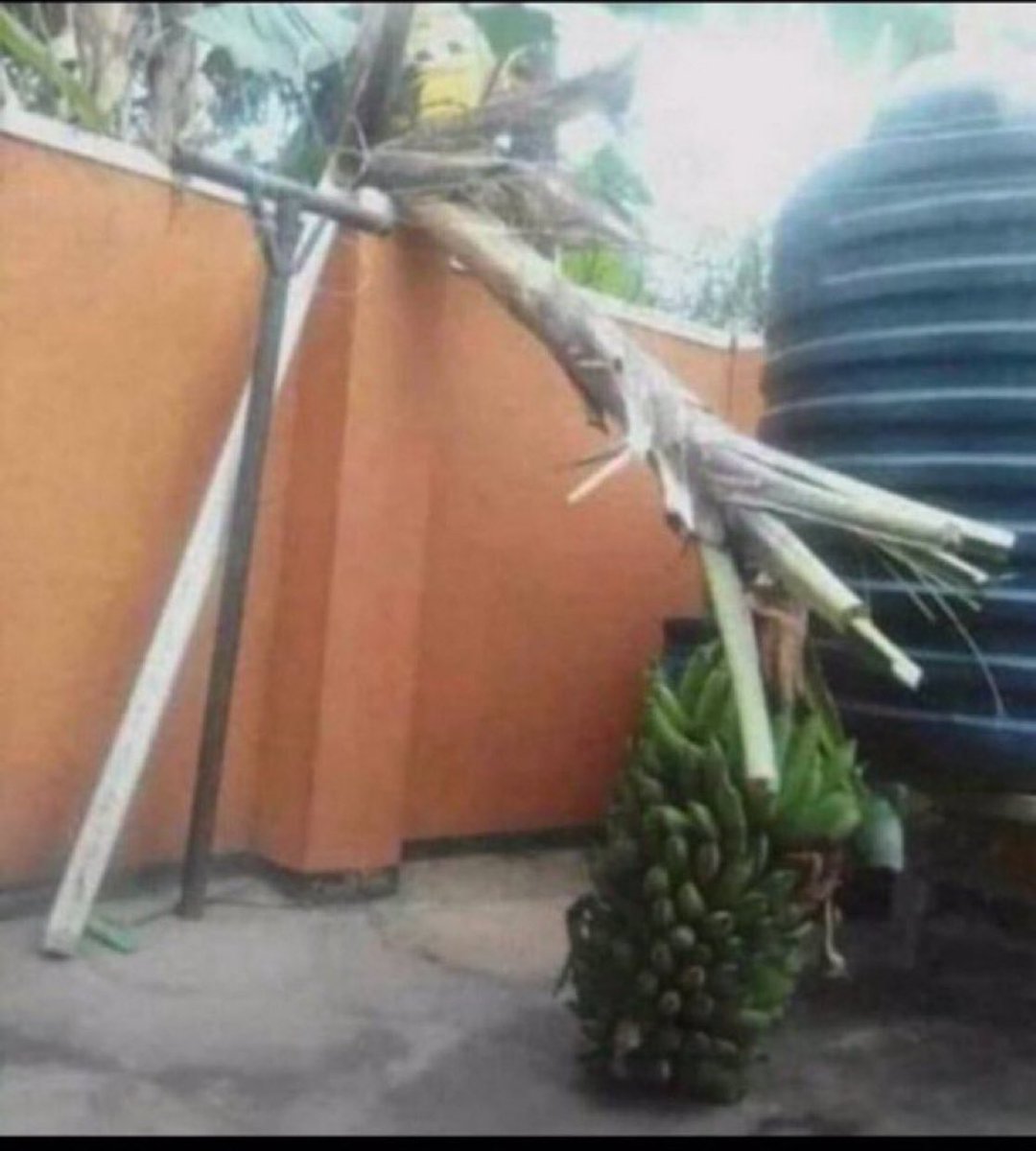 Answered prayers comes in different forms.
May today favor us