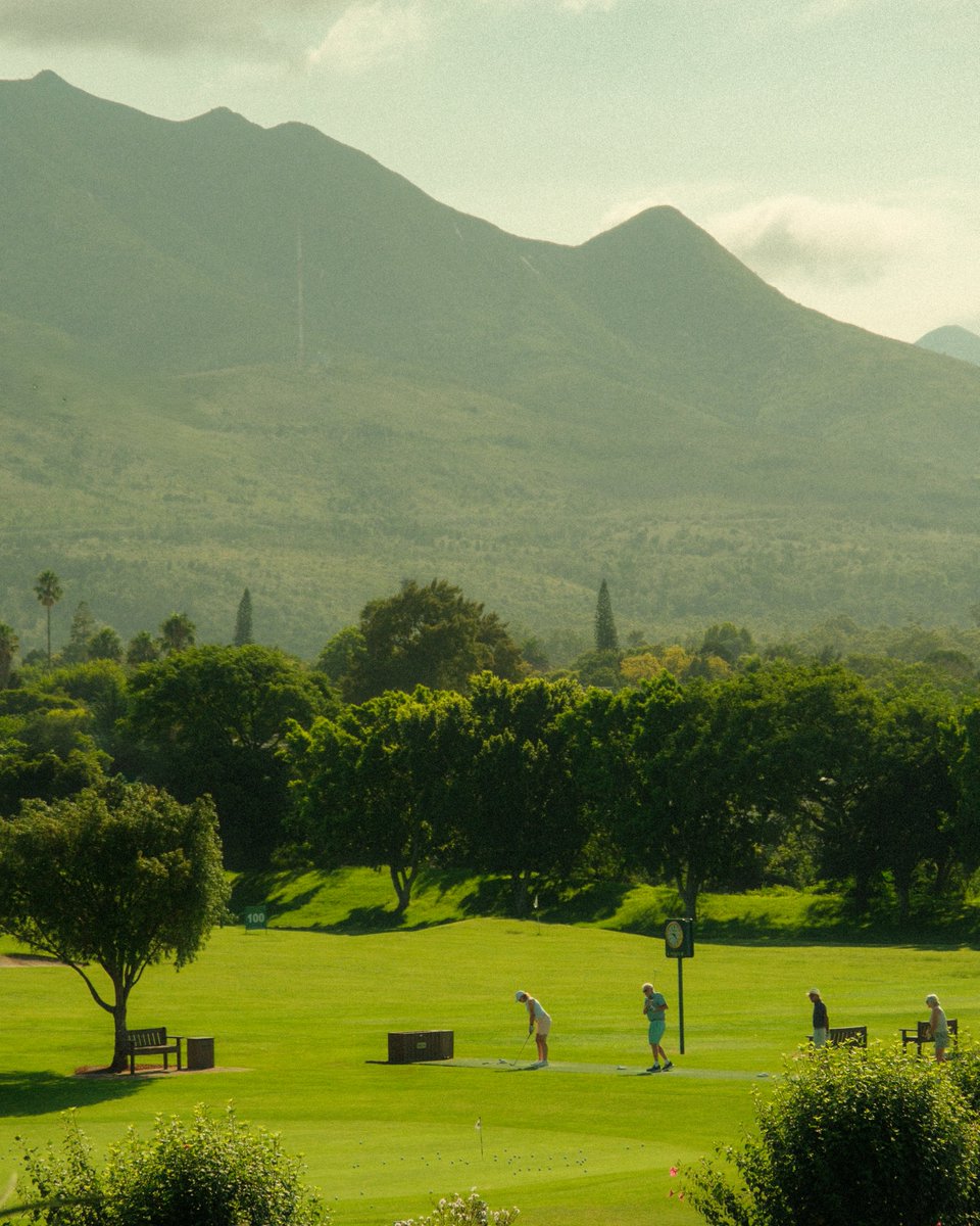 Fancourt tweet media