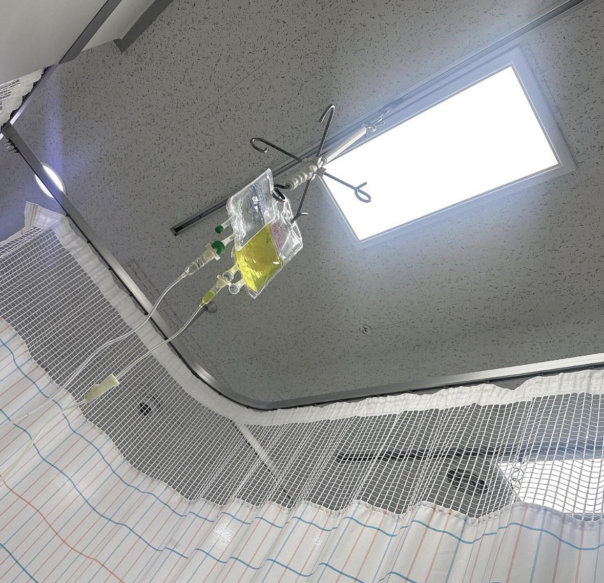 Alex Lim tweet media