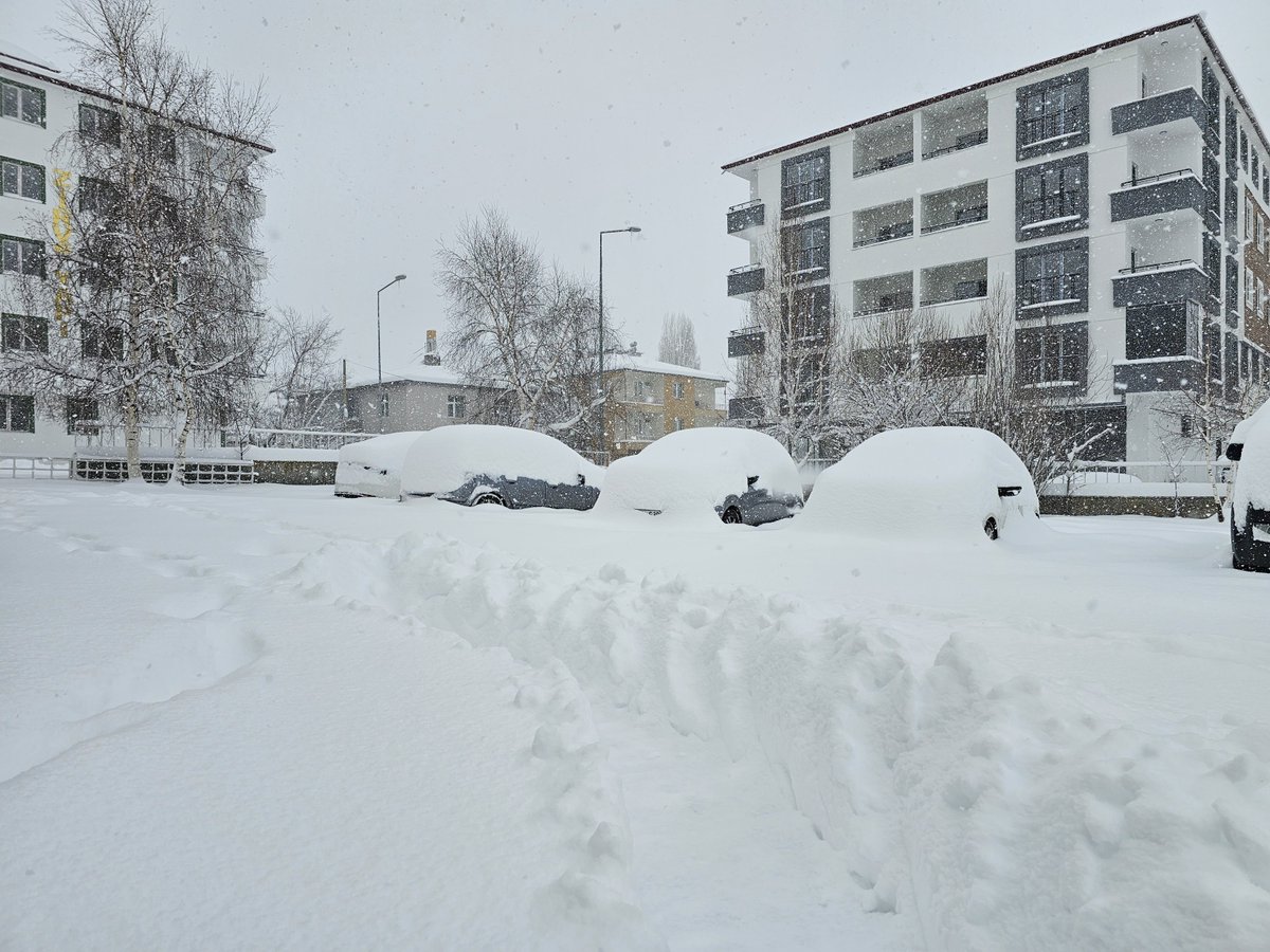 Muhammed Başpınar tweet media