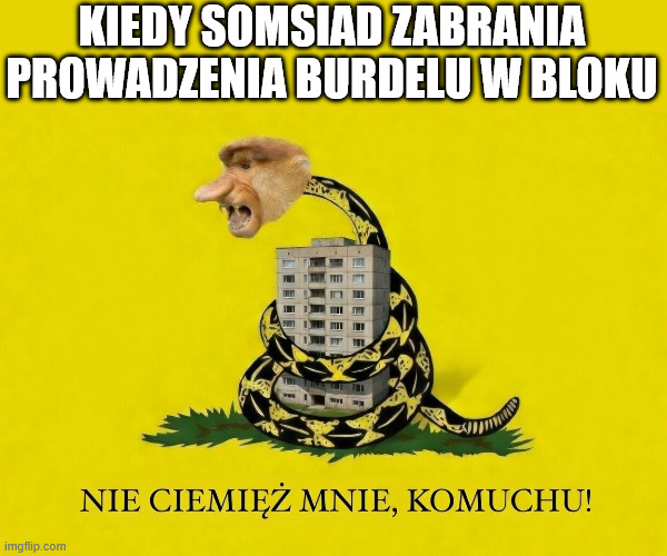 MAFIA DEWELOPERSKA tweet media