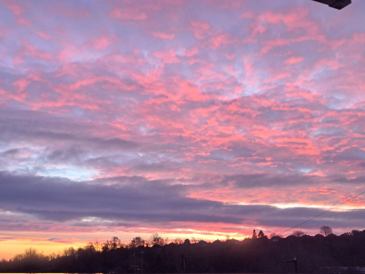 SheffieldHousingCo tweet media