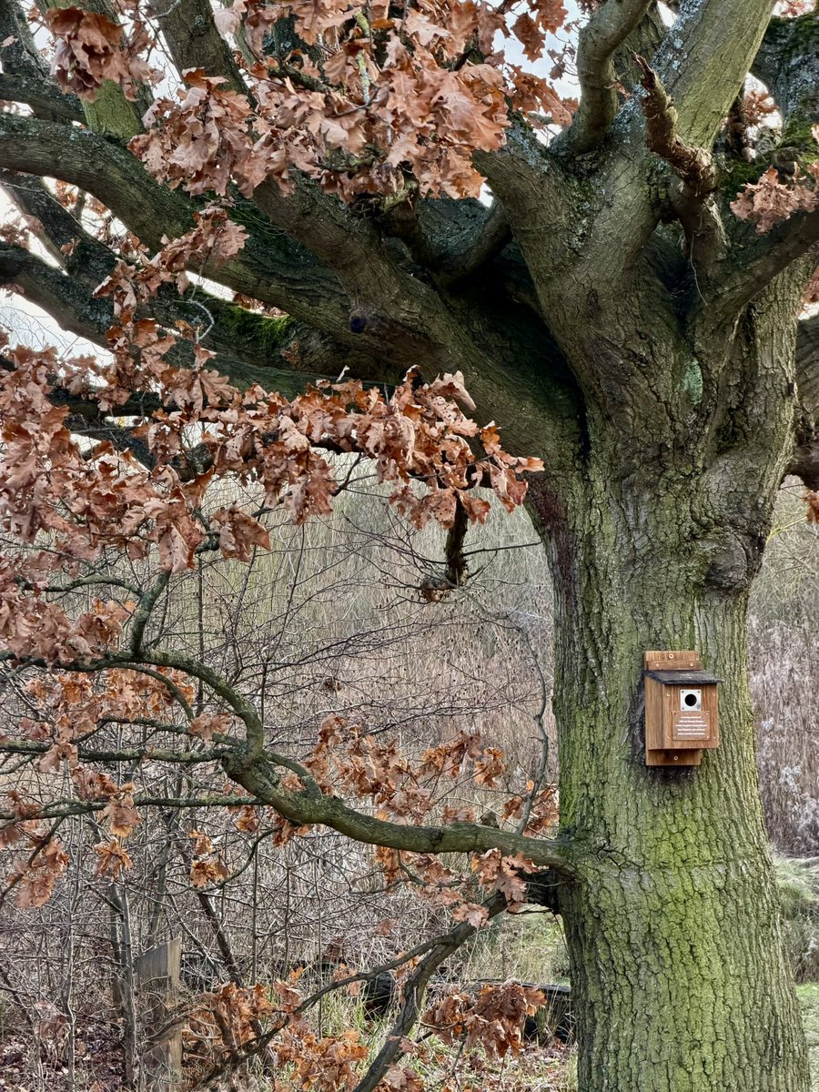 SheffieldHousingCo tweet media