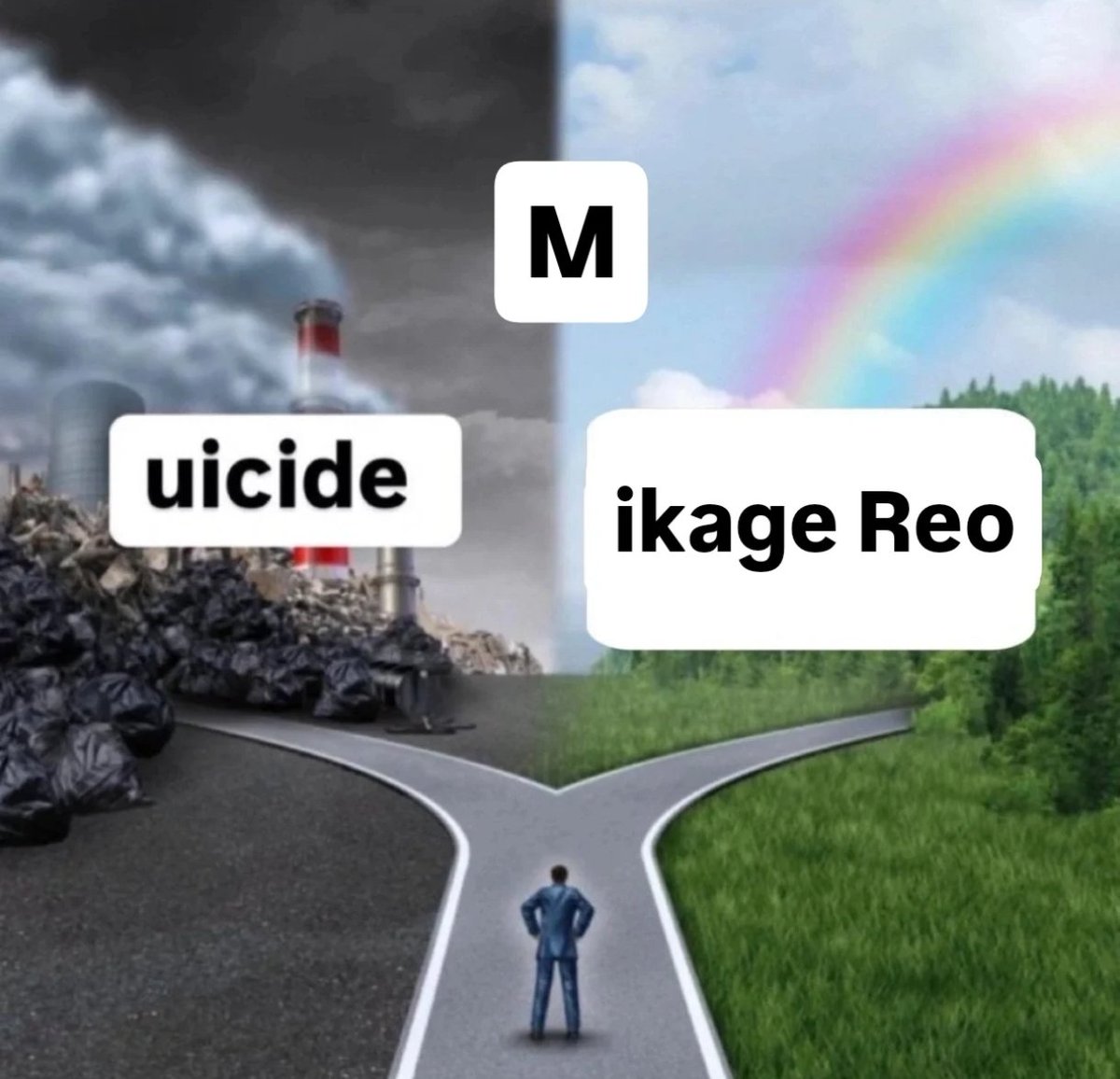 🥕 (@carrotbrain) on Twitter photo 