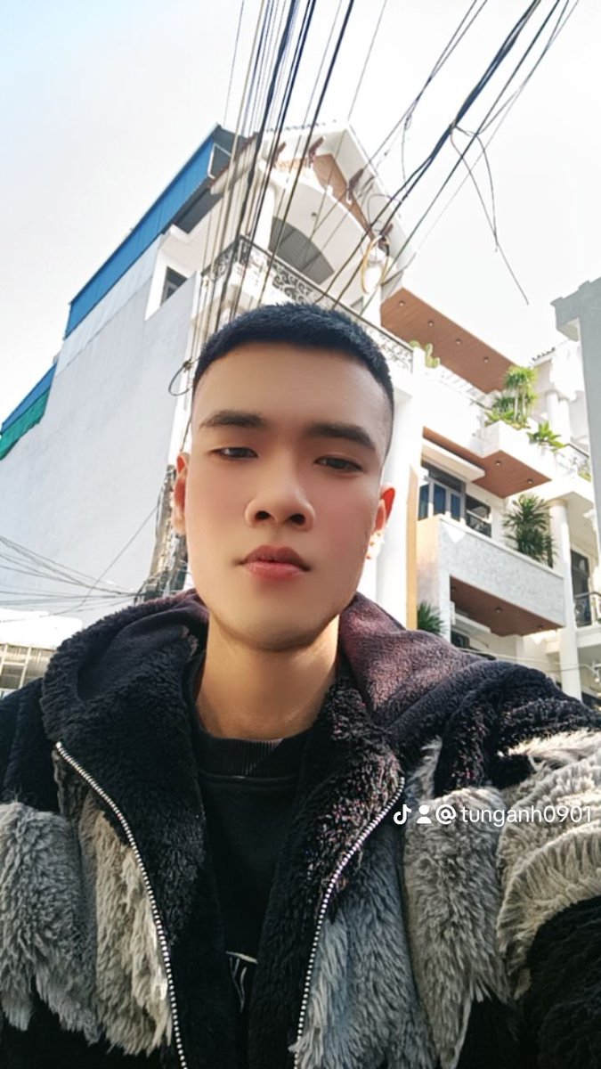 đào tùng tweet media