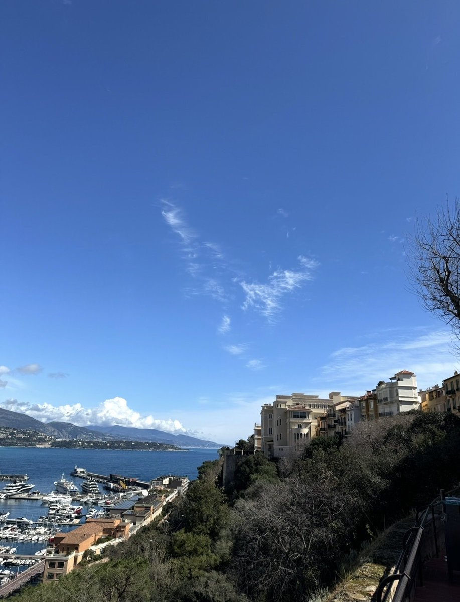 SABOURETCardio's tweet photo. See you next at #MonacoMedicalCourse friendly atmosphere with high scientific program ☀️ https://t.co/r2k1tMcR25