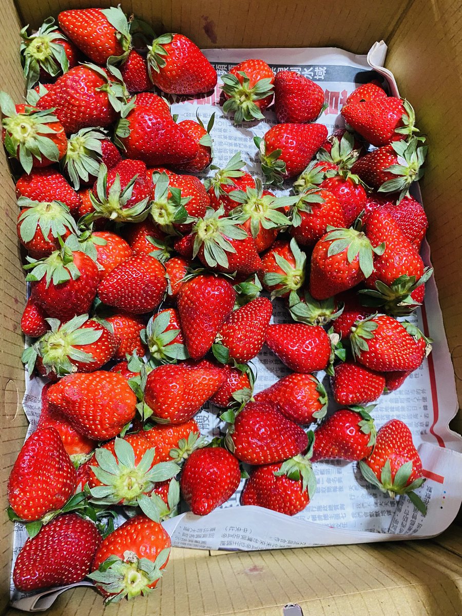 MISS A 3.0 tweet media