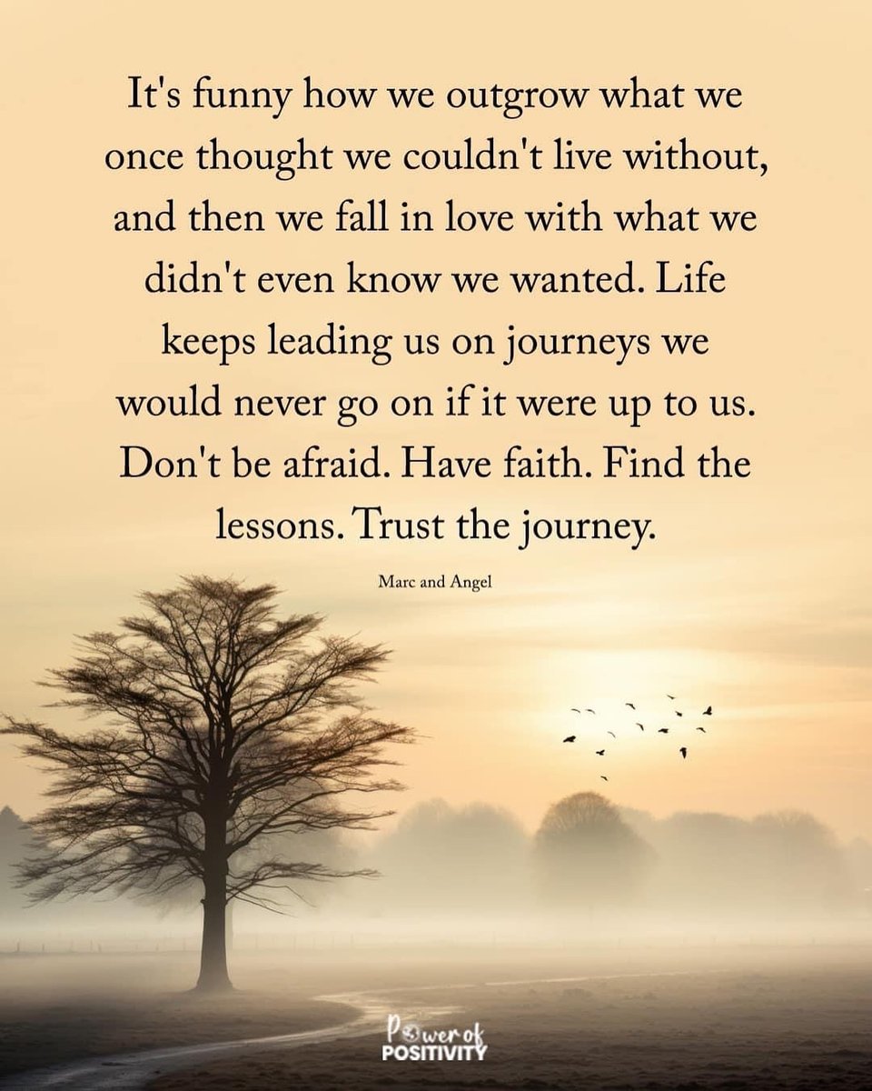 Trust the journey... 🌄✨