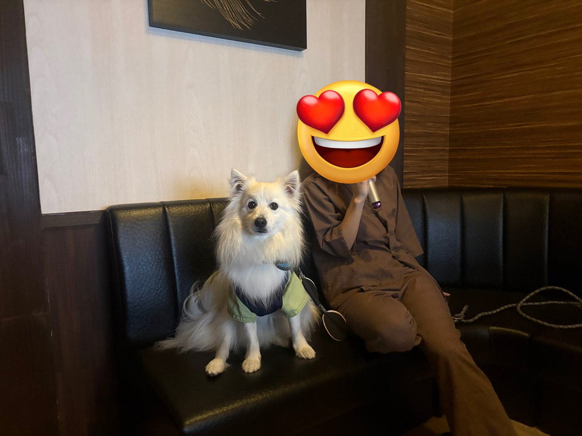 初めて愛犬用のホテルに宿泊！
温泉、カラオケ、バー、レストラン全部🐶入れるし飼い主も楽しめる！
屋内外ドッグランもあるしシャンプールームもあってマジ最高だわ！