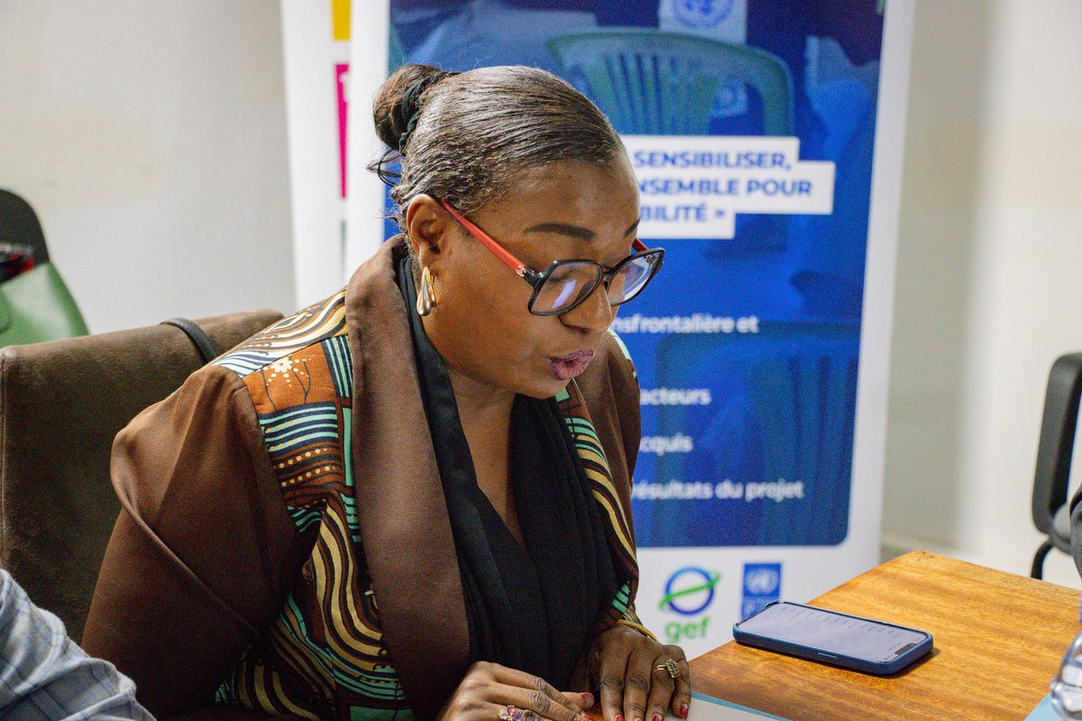 PNUD GABON tweet media