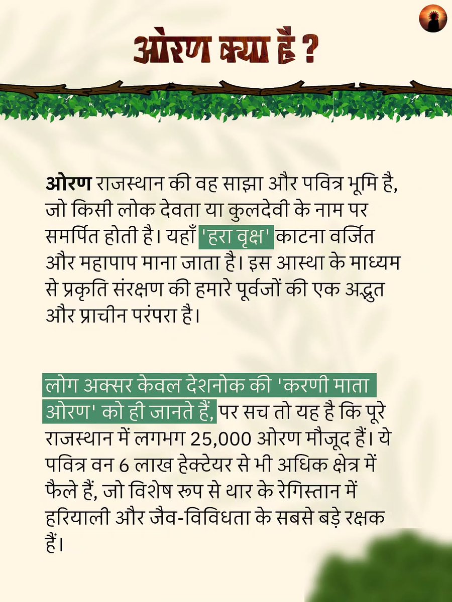 sumersi21771887's tweet photo. ओरण टीम जैसलमेर 🌳🙏 
@bhopal_jhalora 
@avtar_09 
@Motijodha9 
@sumersi90381495 
@RavindraBhati__ 
@RajCMO @BhajanlalBjp 
@PMOIndia https://t.co/zsG4i2PHkK