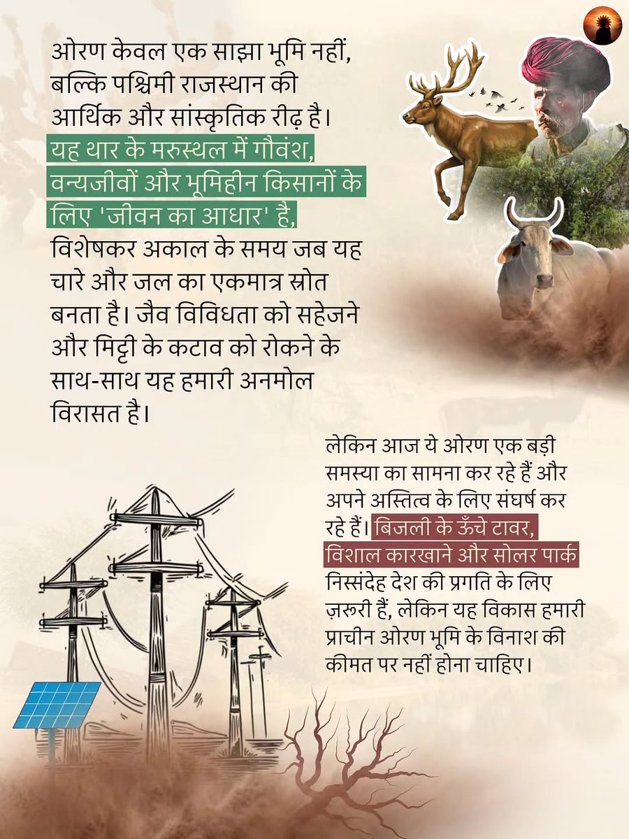 sumersi21771887's tweet photo. ओरण टीम जैसलमेर 🌳🙏 
@bhopal_jhalora 
@avtar_09 
@Motijodha9 
@sumersi90381495 
@RavindraBhati__ 
@RajCMO @BhajanlalBjp 
@PMOIndia https://t.co/zsG4i2PHkK