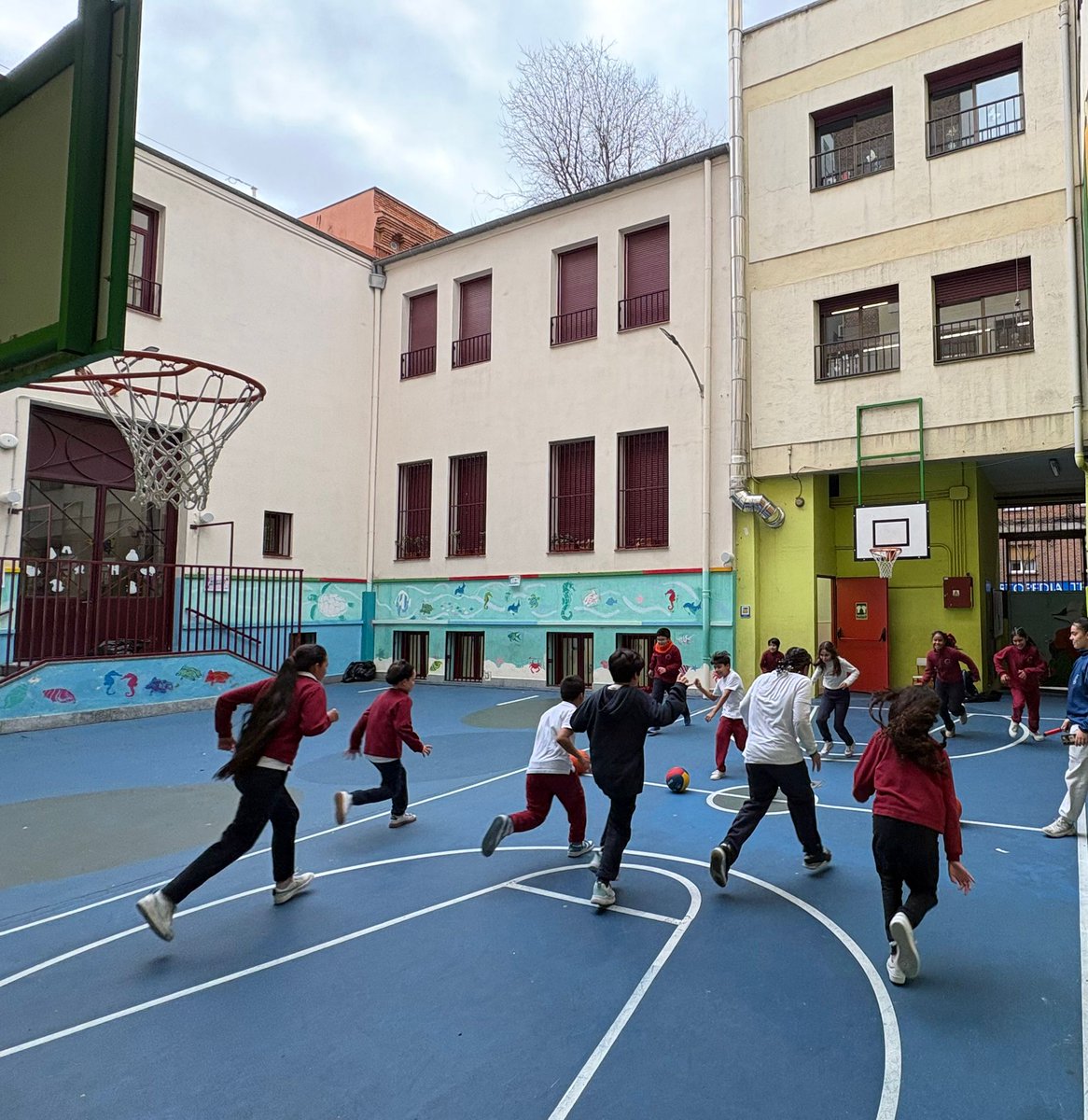 Fed. Bcto. de Madrid tweet media