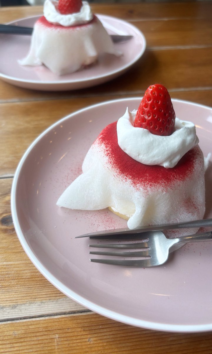 木本杏菜 tweet media