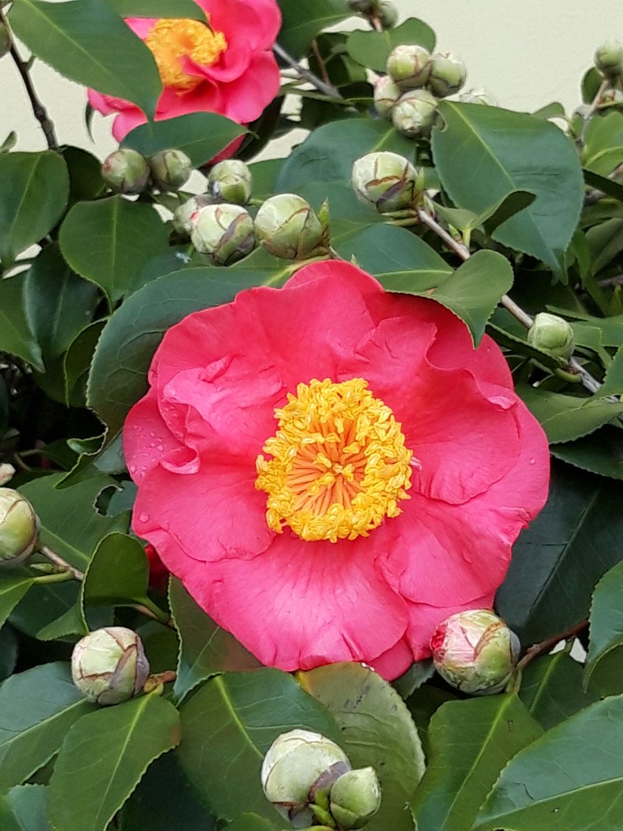 Freya Ingva tweet media