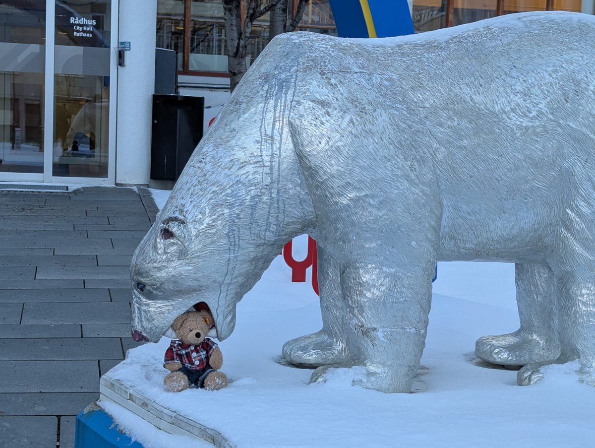 FlynnTheBear's tweet photo. Here's a nice friendly bear, he's letting me tickle his teeth! #Flynn #FlynnTheBear #Hammerfest https://t.co/jWuP2aoXs3