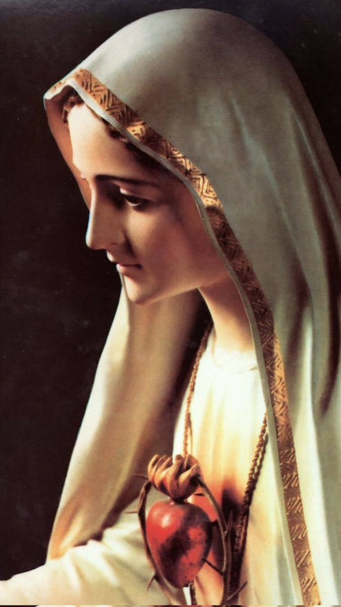 <a href="/elonmusk/">Elon Musk</a> The Blessed Virgin Mary warned the children at Fatima that the devil's final battle would be against the family.