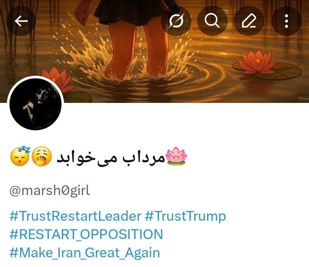 🪷مرداب می‌خوابد 🥱😴 tweet media