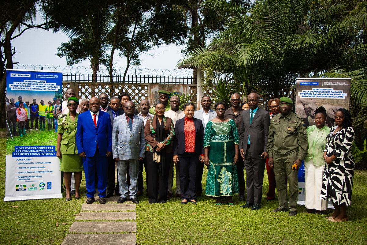 PNUD GABON tweet media