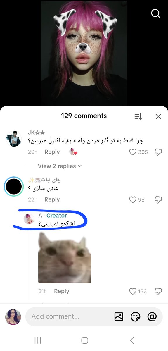 کاقاملا tweet media