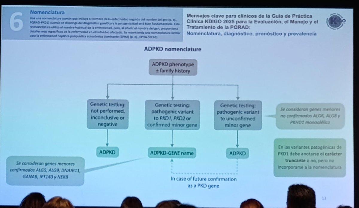 RomiSoleEcc's tweet photo. V Jornadas de Nefropatías Hereditarias 🧬 #GTERH. Aplicaciones prácticas de las guías de práctica clínicas. - Dr. José Luis Rocha Castilla - Guías de ADPKD @SENefrologia @SJDNefrologia @nefrocat @Alanepe1 @SLANH_ @ESPNSociety @IPNA_PedNeph https://t.co/cNermEvmml