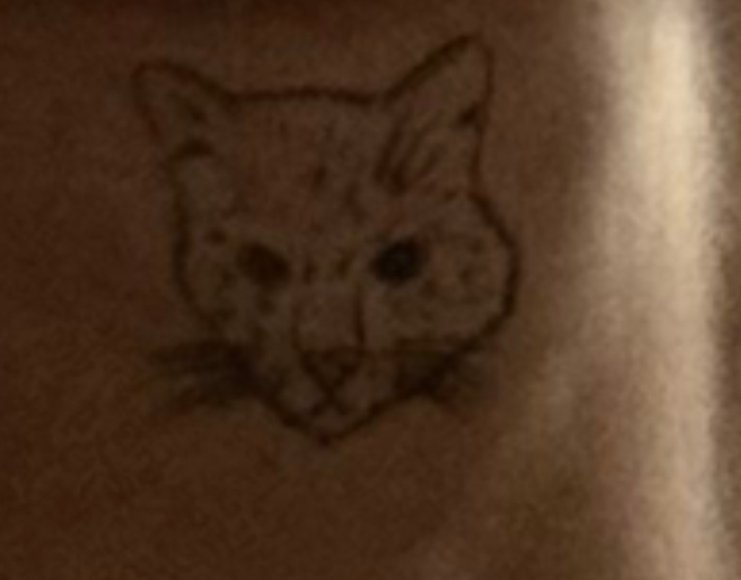 julia4qpd's tweet photo. @bastet_mine На крытке били? https://t.co/JSBonPfUPW