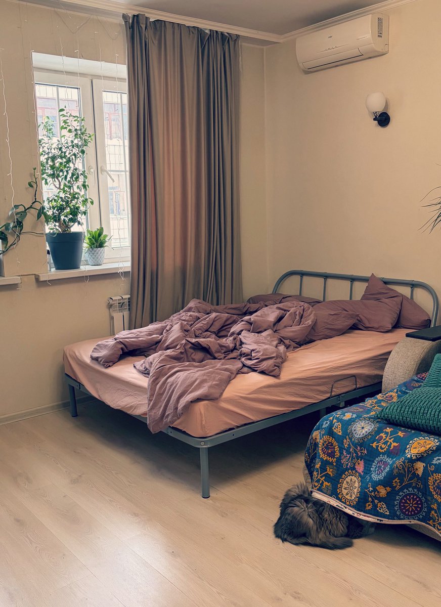 алиняш tweet media