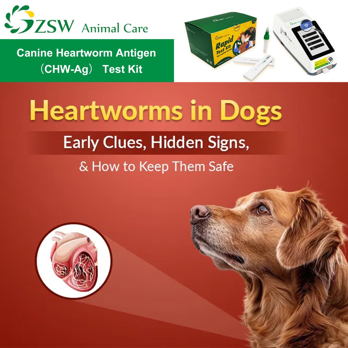 If you're looking for a way to celebrate this Heart Health Month, may we recommend adding 1-step Canine Heartworm (CHW) testing to your practice?📷
#chw #vet #petmedical #petdiagnosis