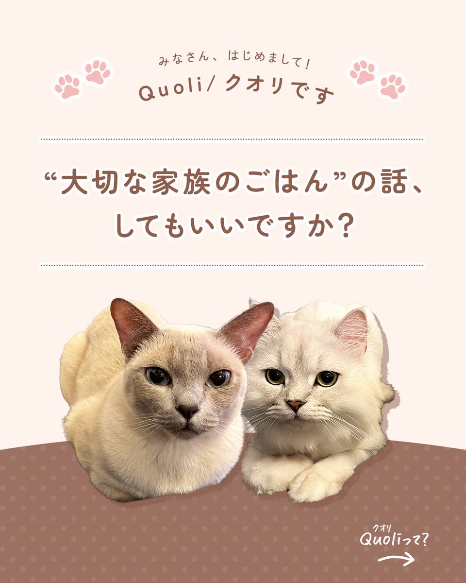 quoli_official's tweet photo. みなさんのワンちゃんネコちゃんの食べっぷりみせてくださいU･ェ･U🦴

Quoli / クオリは日本で暮らすワンちゃん・ネコちゃんの生活環境を考えたブランドです🐶🐱🐾

この投稿を見てくれている
ワンちゃん・ネコちゃんが気になっています🐶🐱
（写真があったらぜひコメントで📸✨） https://t.co/9SAsVhUoaz