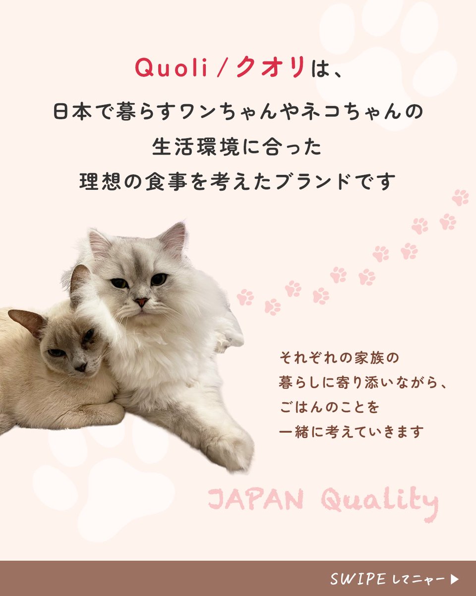 quoli_official's tweet photo. みなさんのワンちゃんネコちゃんの食べっぷりみせてくださいU･ェ･U🦴

Quoli / クオリは日本で暮らすワンちゃん・ネコちゃんの生活環境を考えたブランドです🐶🐱🐾

この投稿を見てくれている
ワンちゃん・ネコちゃんが気になっています🐶🐱
（写真があったらぜひコメントで📸✨） https://t.co/9SAsVhUoaz