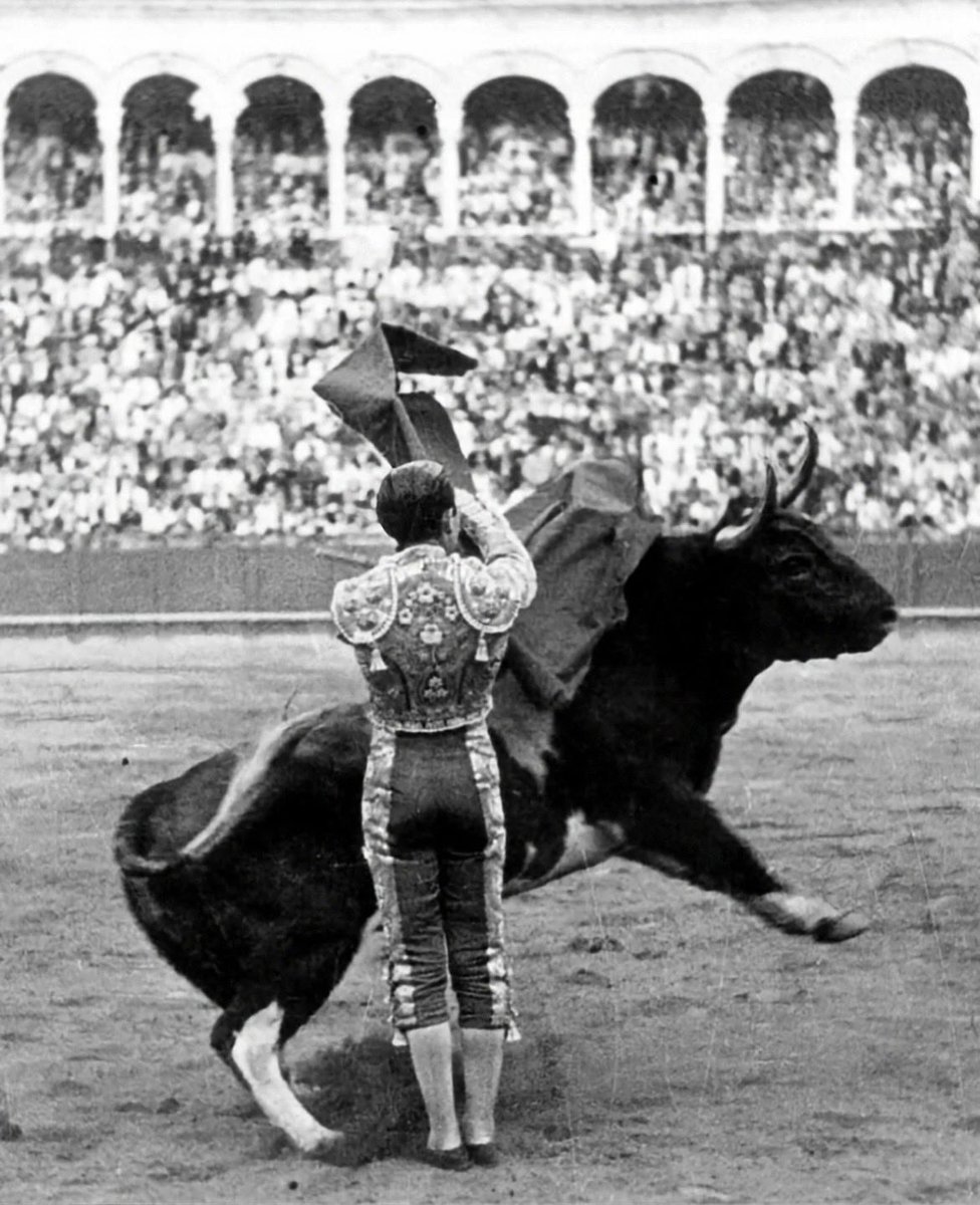 Club Taurino de Sevilla tweet media