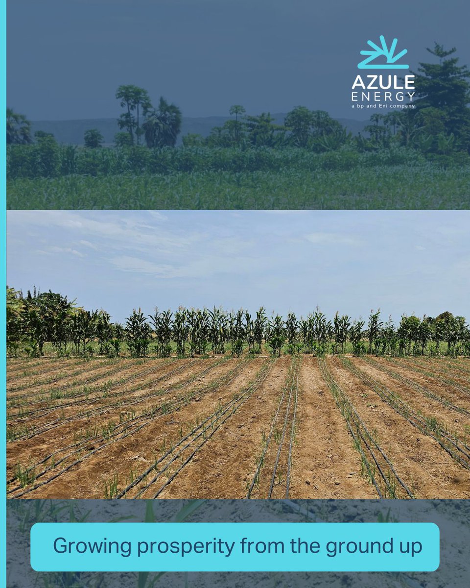 Azule-Energy tweet media